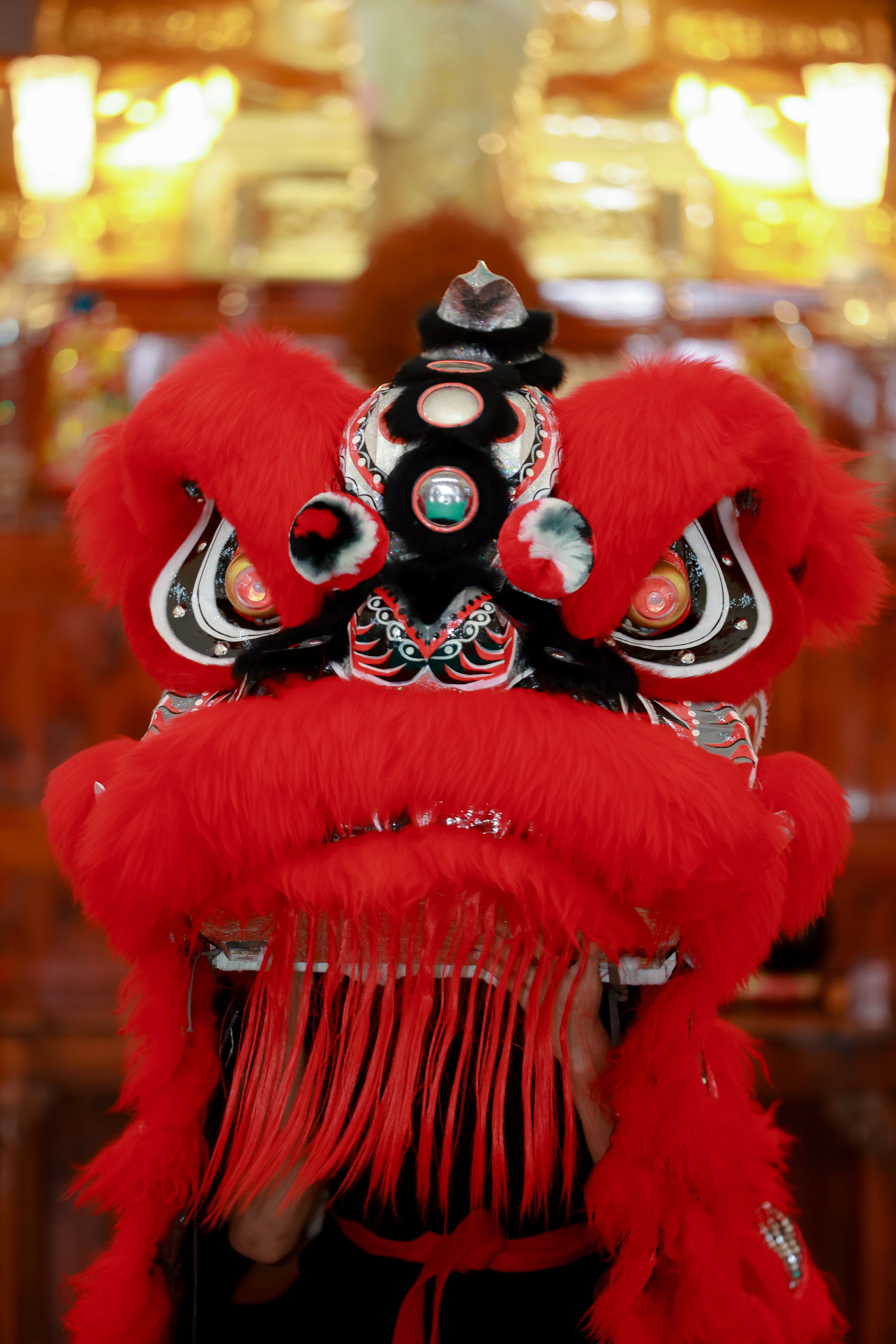 Lion Dance Performers